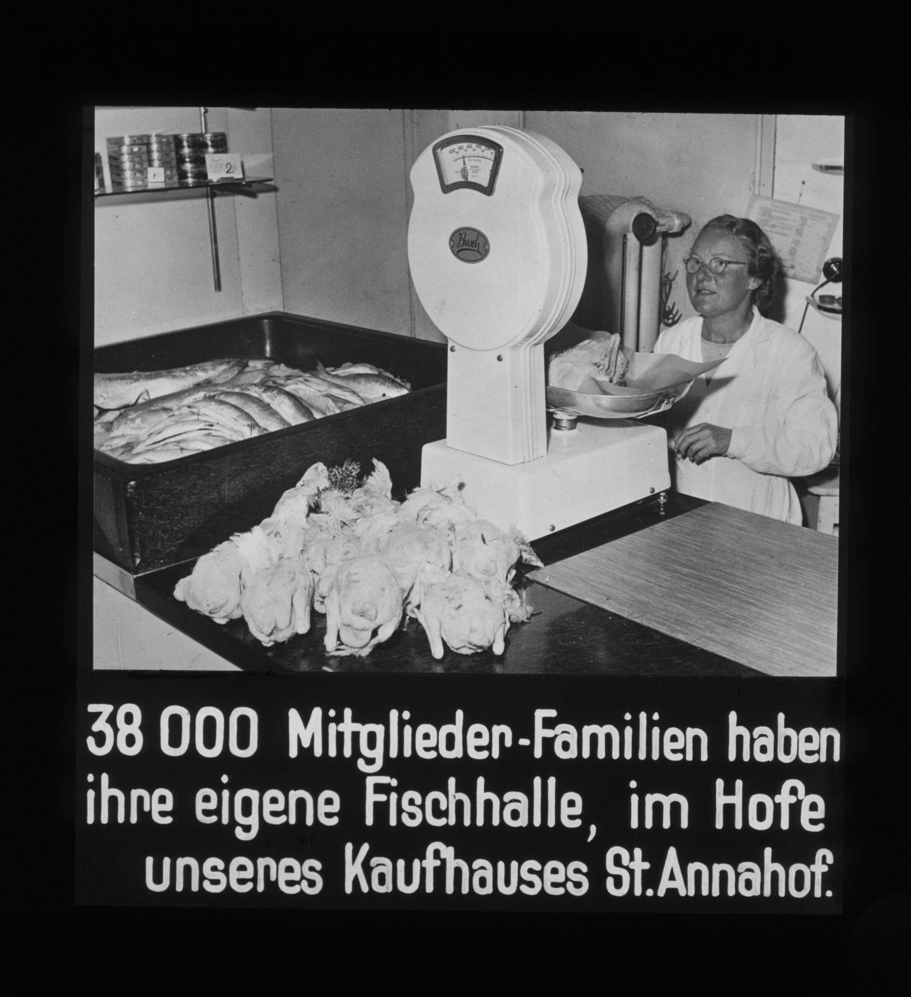 Dia: Fisch-Abteilung im St. Annahof. Verkäuferin wägt Fisch. "38000 Mitglieder-Familien haben ihre eigene Fischhalle, im Hofe unseres Kaufhauses St. Annahof."