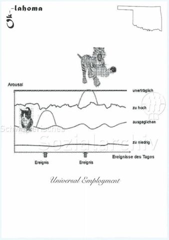 "Universal Employment" - Zusammenstellung aus "Universal Employment" in kursiv, einer Grafik mit den Achsen "Ereignisse des Tages" und "Arousal", Bildern eines Kätzchen und eines Tigers, sowie den Umrissen und der Name des US-amerikanischen Staates Oklahoma