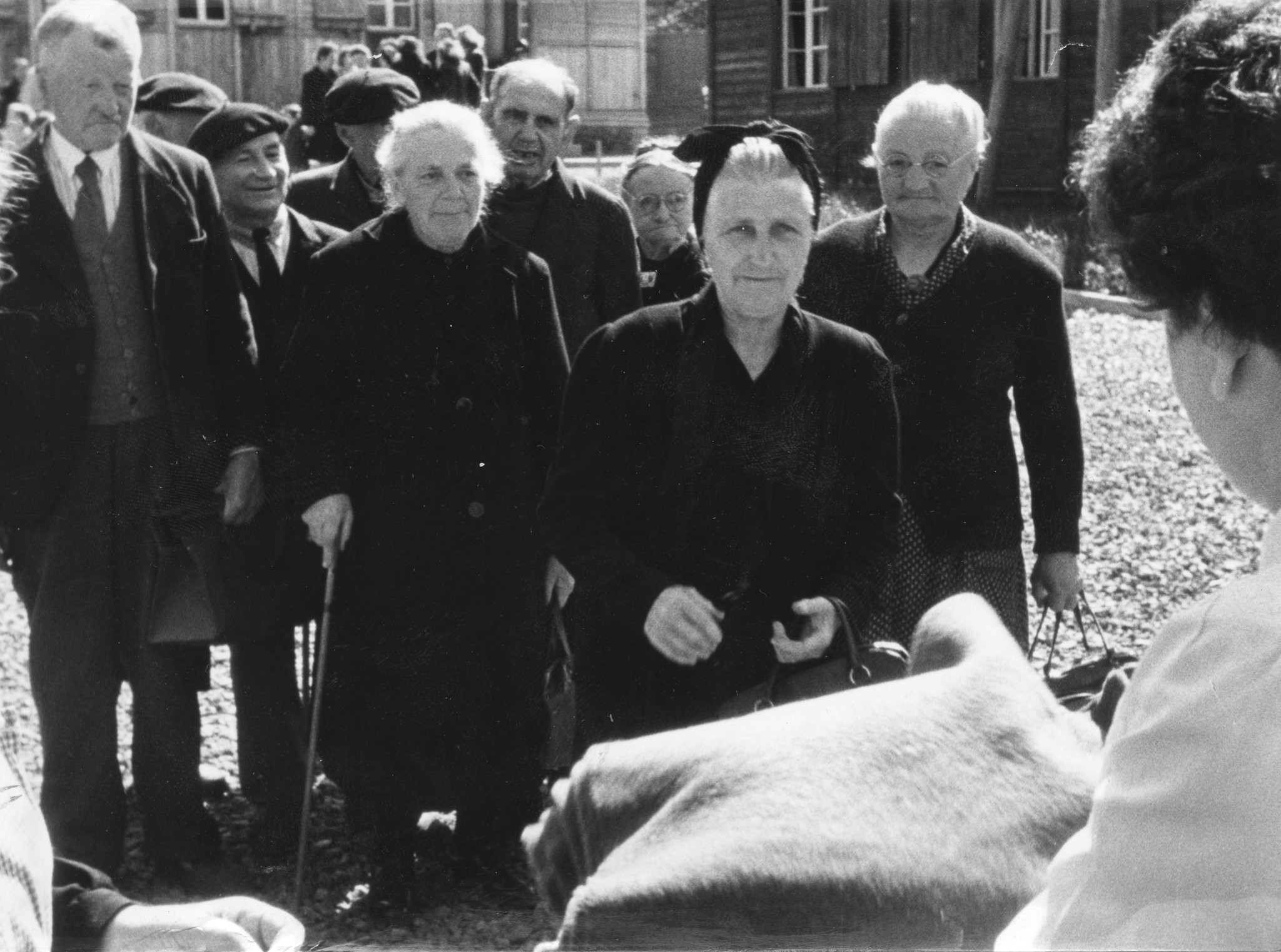 "Verteilung in St. Lô, Frankreich"; Personen stehen an, um Hilfsgüter abzuholen