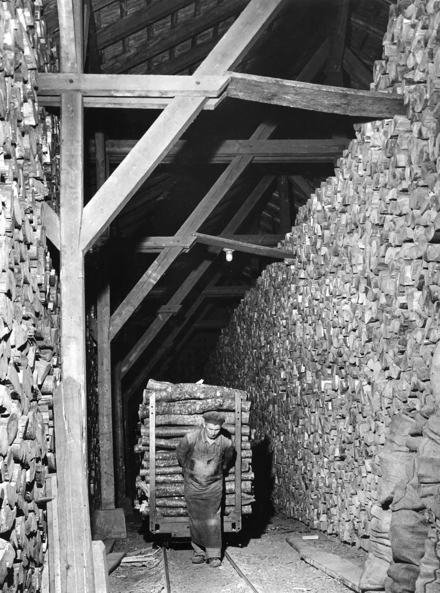 Schienenfahrzeug zum Transport von Holz im Lager an der Turbinenstrasse, Oktober 1951