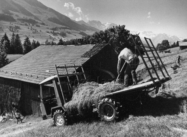 Bauer belädt einen Transporter mit Heu; um 1980