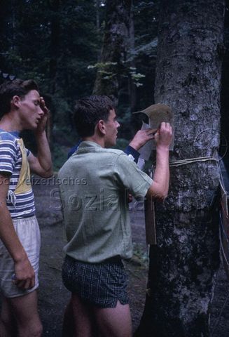 "Volkssport; Veranstaltungen: Orientierungslauf" - Frei Junge Männer im Wald, zwei halten die Karte gegen einen Baum und beraten sich, der dritte wischt sich die verschitzte Stirn mit der Hand ab; um 1970
