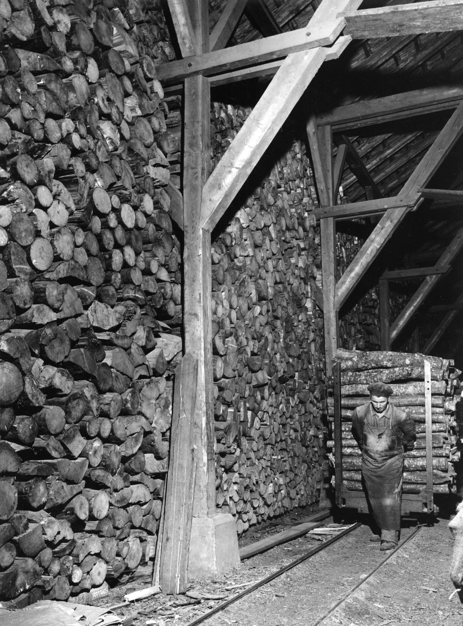 Mann beim Ziehen einen Wagen mit Holz auf Schienen im Holzlager an der Turbinenstrasse