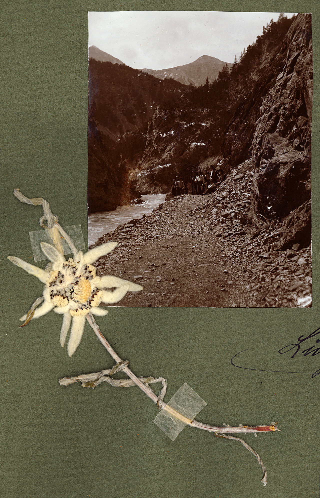 Livignotal - Wandervögel in Graubünden - Grosse Fahrt von Emmi Bloch (1887-1978) (1909)