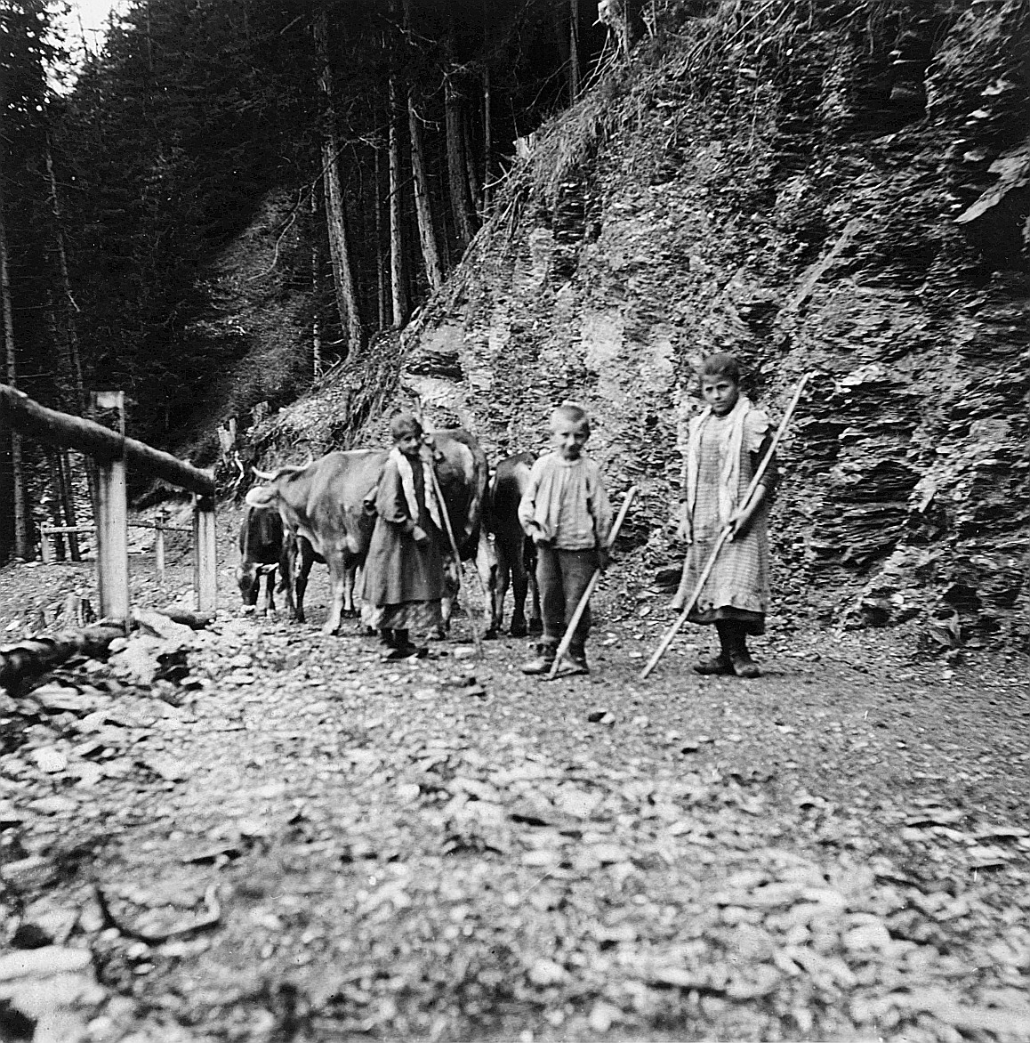 Von einer Bündnerfahrt - Drei Kinder tragen einen Stock und posieren zusammen mit Kühen auf einem Saumpfad (1913)