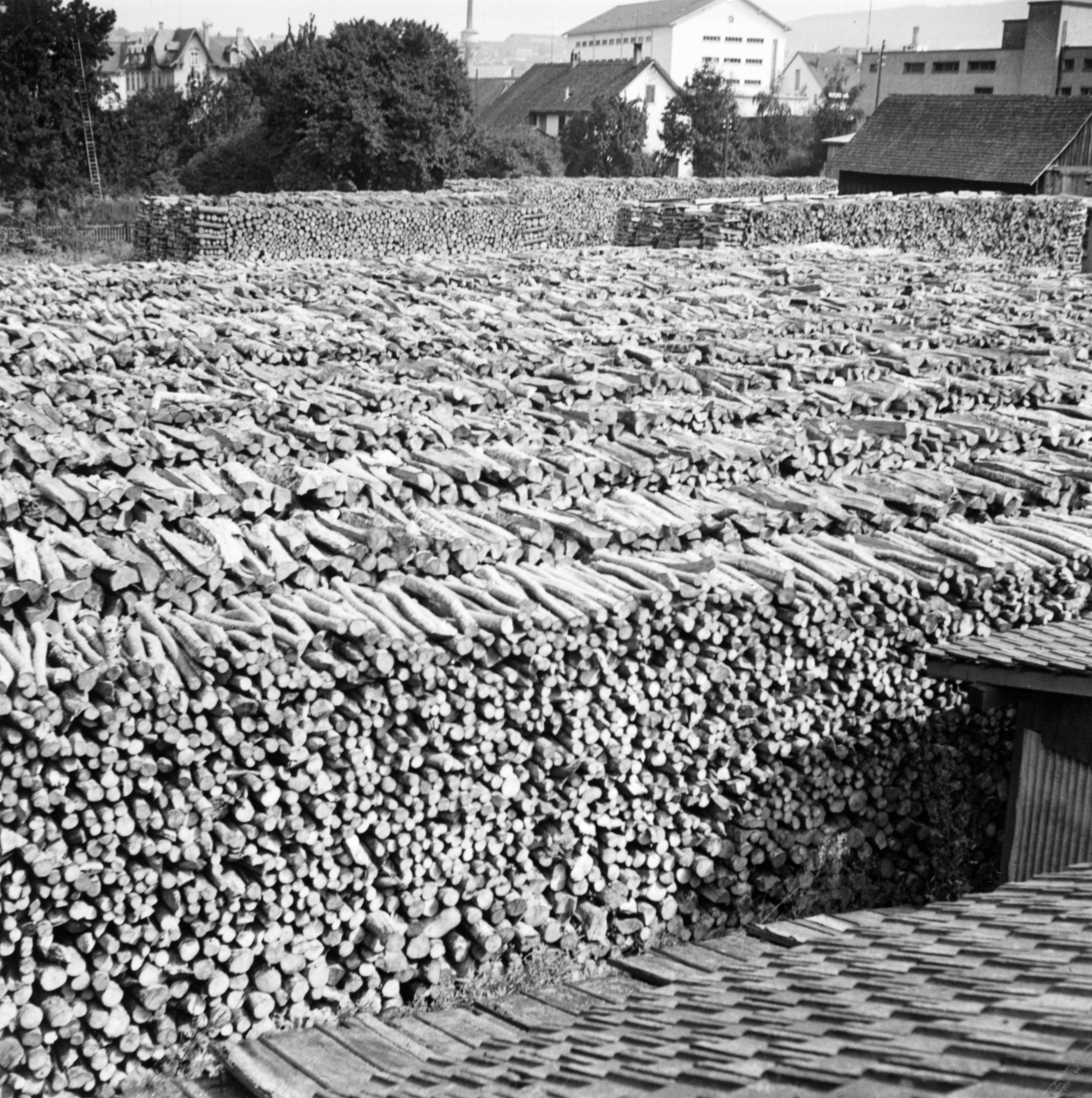 Holzlager an der Turbinenstrasse in Zürich: gestapeltes Holz