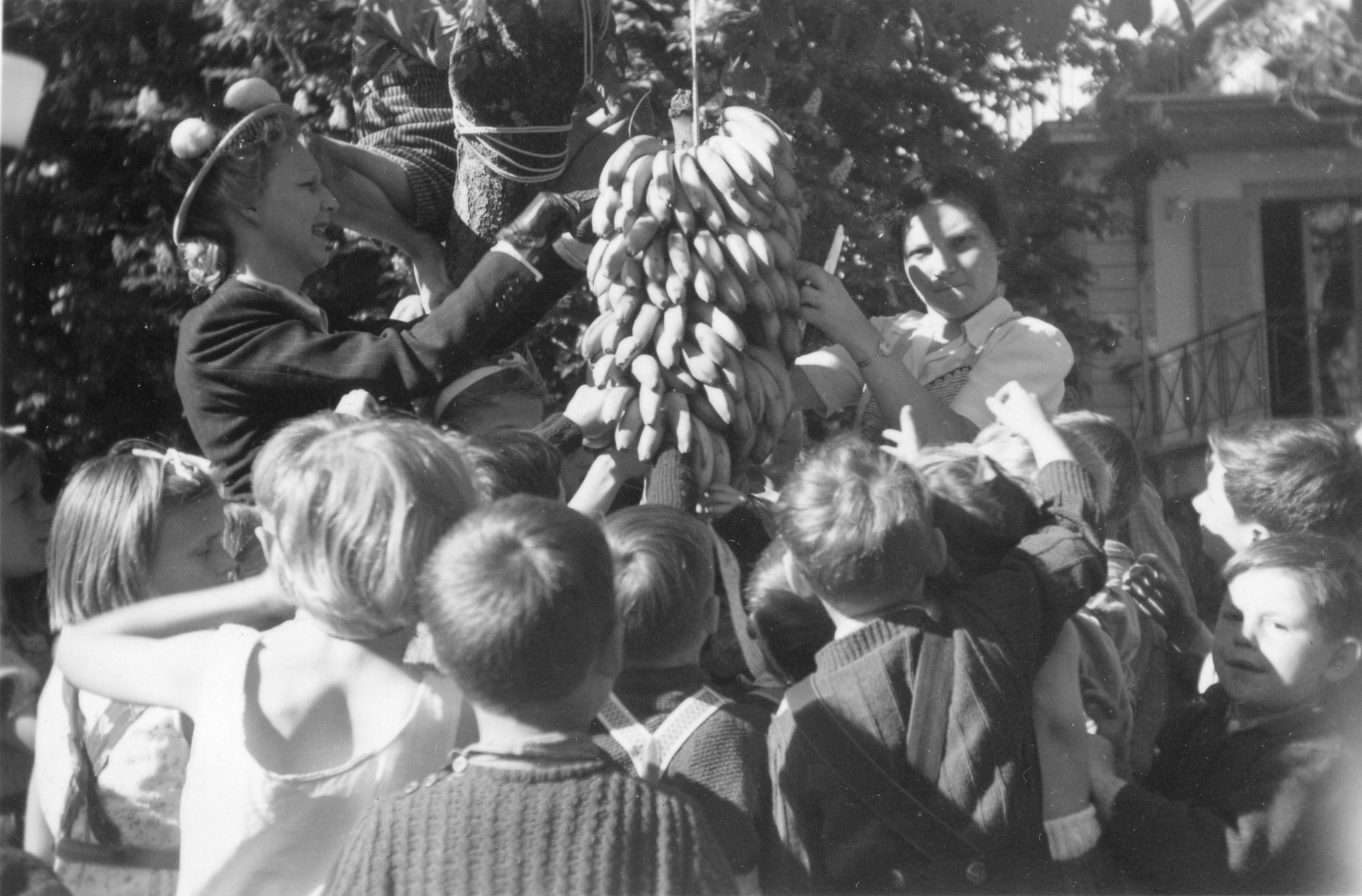 "Genève - Vieux Bois, Frühjahr 1946. Bananen-Zvieri"; Kinder bestaunen und essen von einer Bananenstaude