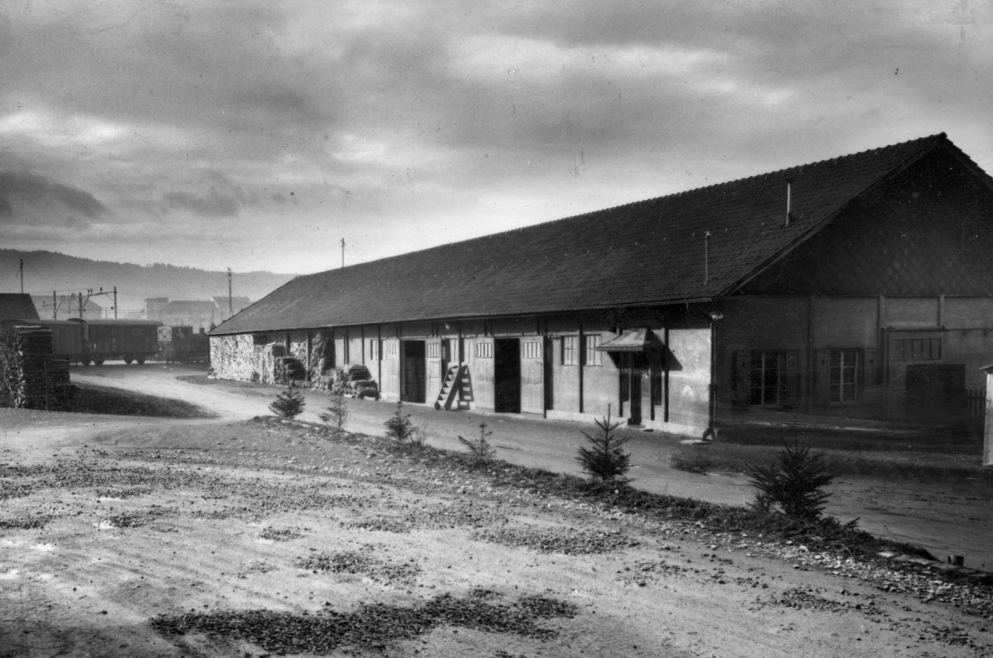 Holzlager des Lebensmittelvereins Zürich an der Turbinenstrasse
