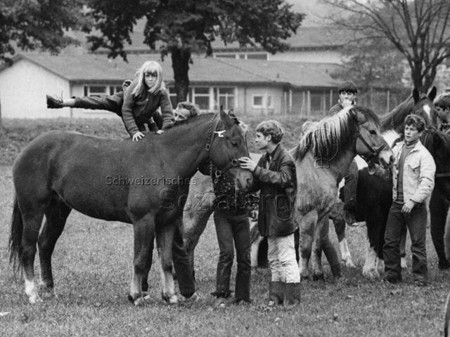 "FZA Zigeunerlager" - Kinder und Jugendliche mit Pferden, ein Mädchen beim Besteigen eines Pferdes; um 1975