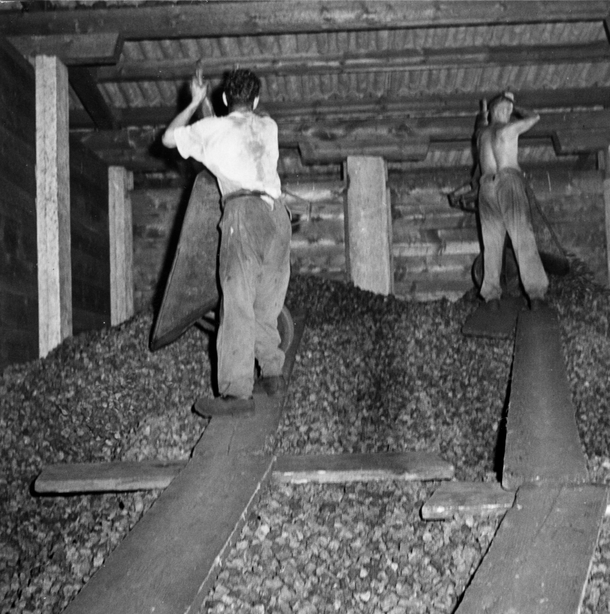 Kohle/Holz: Männer in einem Lagerraum