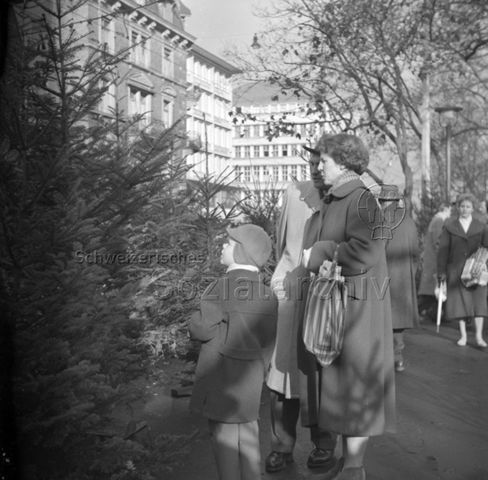 Christbaum-/Weihnachtsbaum-Markt, Zürich, um 1965
