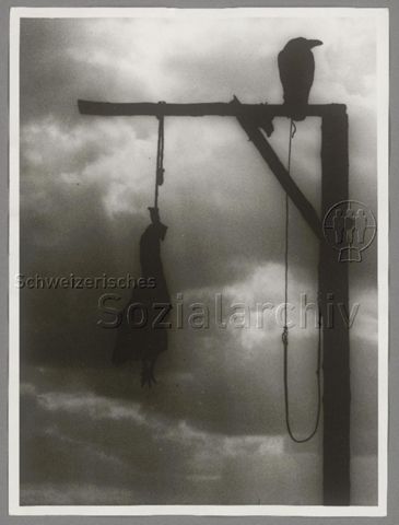 Galgen mit erhängtem Huhn und Krähe, Leipzig, um 1990 (Kontext unbestimmt)