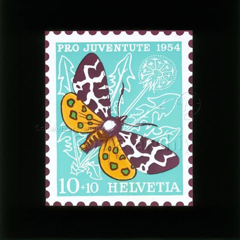 Diaserie Briefmarken; "Helvetia 10 +10, Pro Juventute 1954"; Schmetterling "Brauner Bär"; im Hintergrund Löwenzahnblätter und -blume; 1954