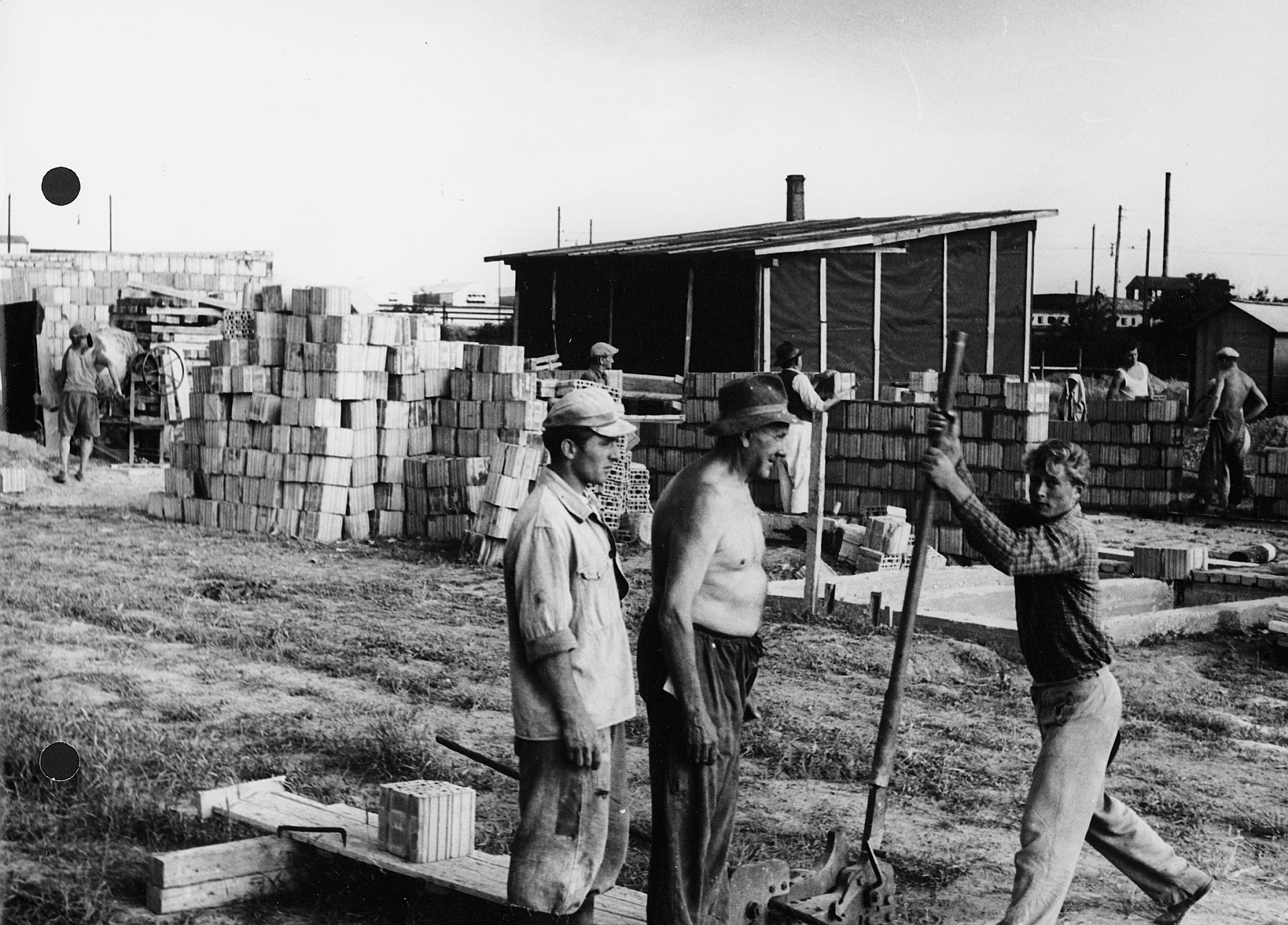 Siedlung für ungarische Flüchtlinge bei Wien: Bauarbeiten im Mai 1958