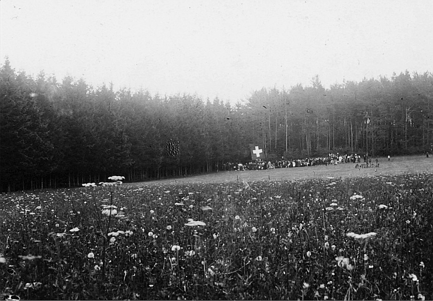 Wandervogel-Landsgemeinde bei Steinmaur (Heitlisberg) - Landsgemeinde aus der Ferne (1915)