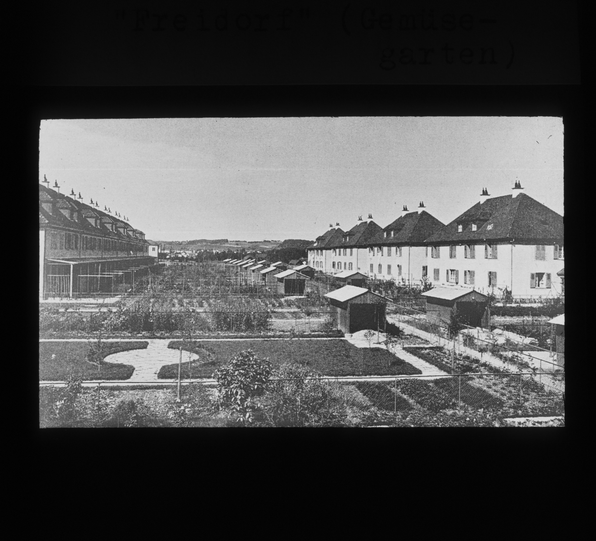 Dia: "Freidorf" in Muttenz, genossenschaftliche Siedlung des VSK (Verband schweizerischer Konsumvereine): Gemüsegarten.