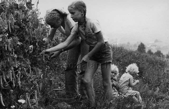 "Praktikantenhilfe" - Praktikantin und Mädchen bei der Ernte von Gemüse, zwei kleine Mädchen sitzen daneben im Gras; 1978