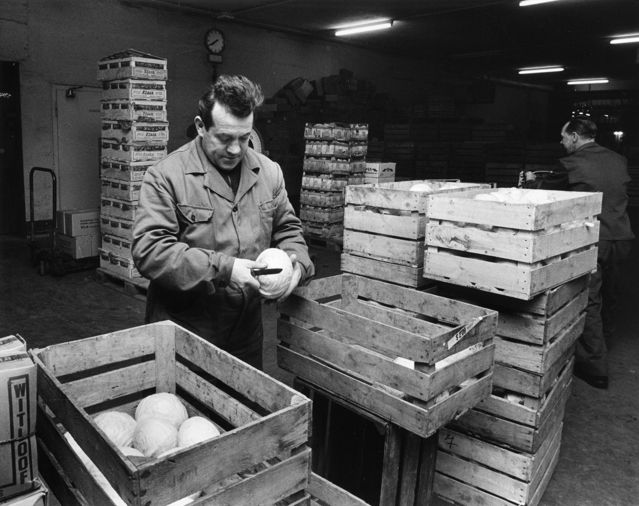 Mann beim Rüsten von Kohl mit einem Messer in Lagerhalle, um 1970