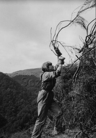 "Aktion 7, Tessin" - Jugendliche bei der Arbeit; 1988