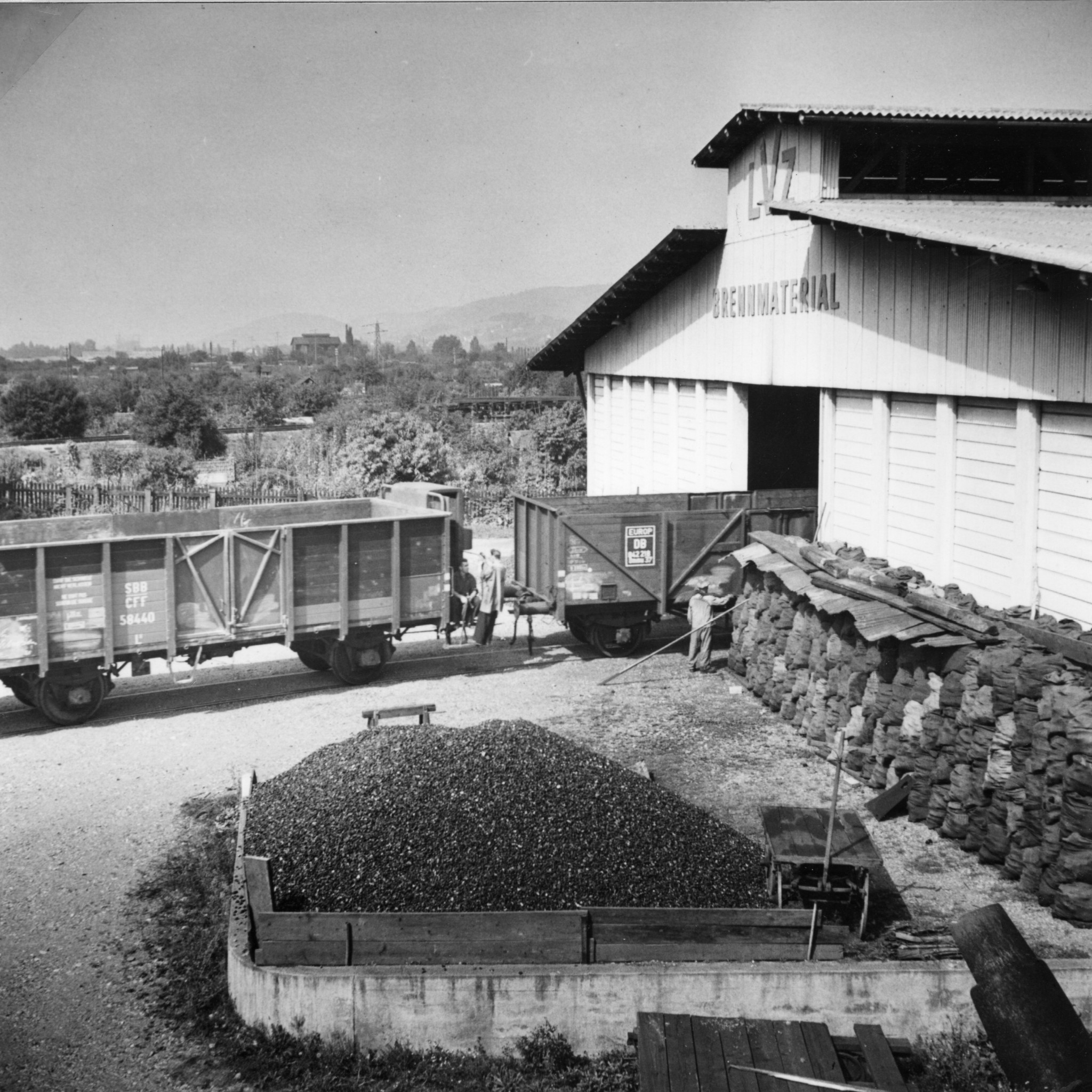 Holz- und Kohlelager an der Turbinenstrasse in Zürich: Güterzug bei der Einfahrt in die Lagerhalle, Lebensmittelverein Zürich LVZ