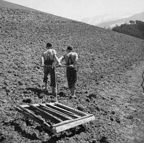 Bergkinder - Zwei Jungen beim Pflügen des Feldes; um 1950