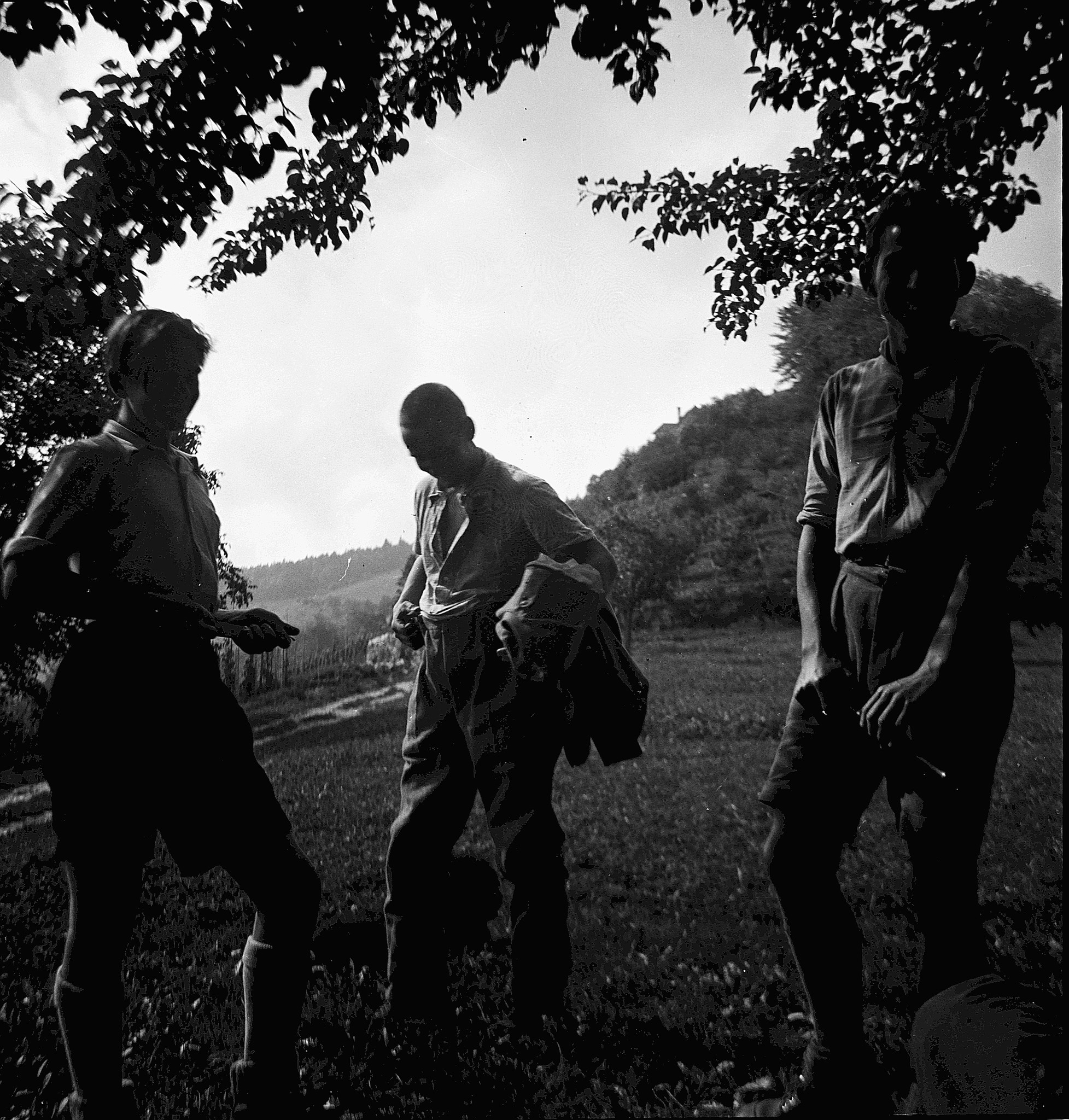 Ostschweizer Wandervögel unterhalten sich (vermutlich) unter den Ästen eines Baumes (um 1938)