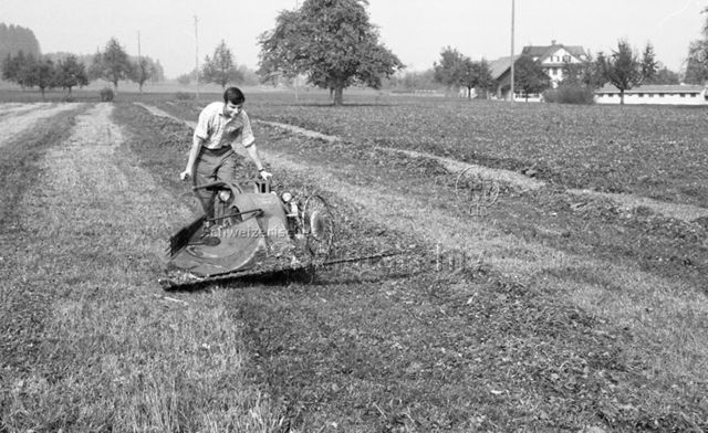 Eschenbach LU, Herbst 1971