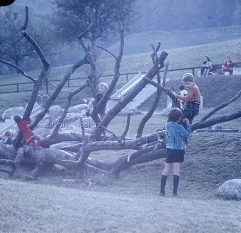 "Siedlungsspielplatz Adliswil" - spielende Kinder auf einem Kletterbaum; um 1975