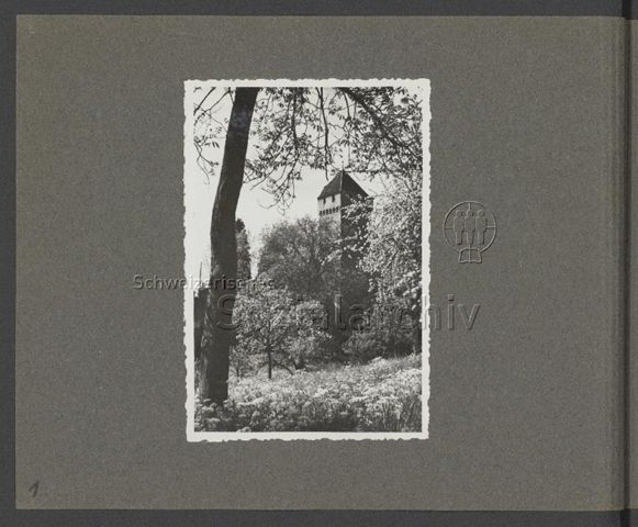 Fotoalbum "50 Jahre TVN [Touristenverein die Naturfreunde] Jubiläumstreffen 1945 in Luzern