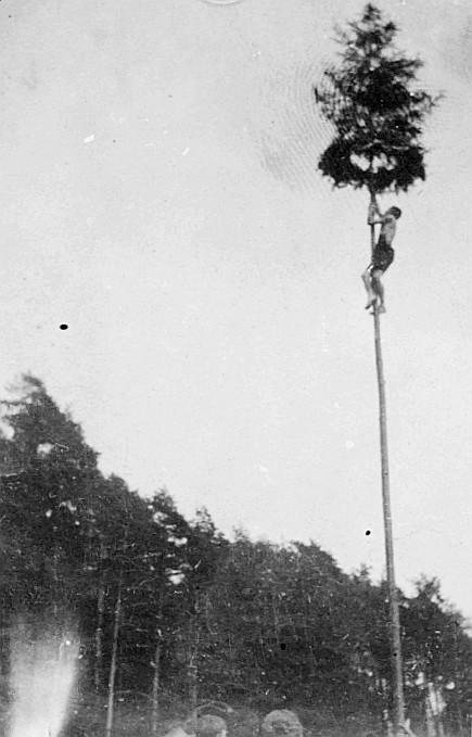 Wandervogel-Landsgemeinde in Hüttwilen - Wandervogel den Maibaum erkletternd (1921)
