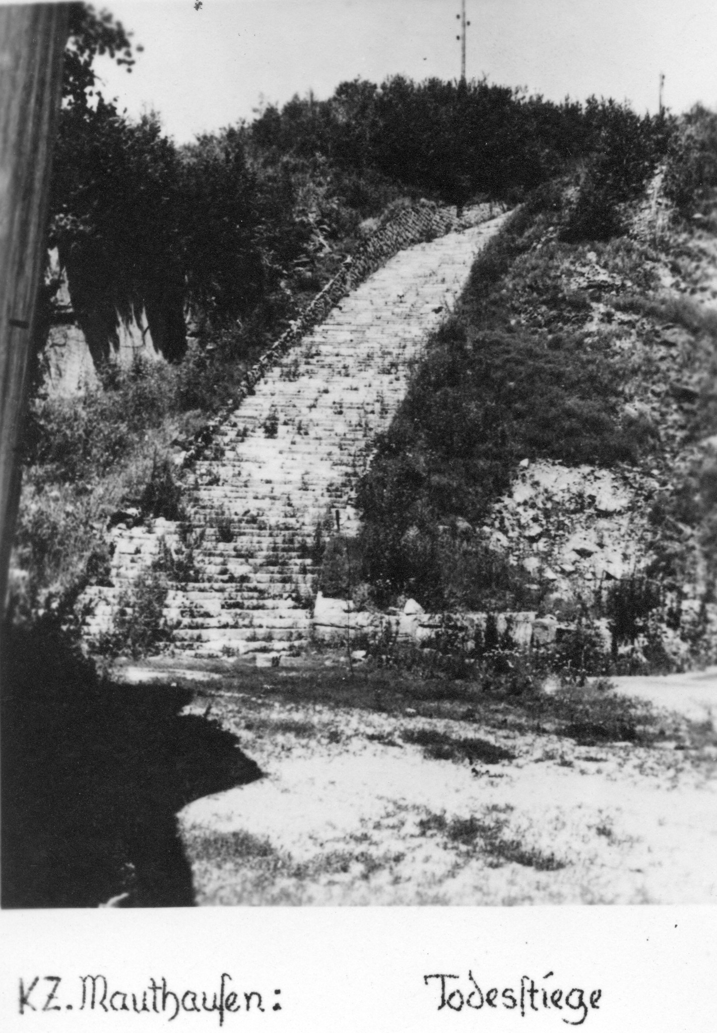 "KZ Mauthausen: Todesstiege"; über die insgesamt 186 Stufen der 31 Meter hohen Treppe mussten die Gefangenen mehrmals täglich riesige Steinsbrocken nach oben tragen. Viele waren dieser Aufgabe nicht gewachsen und starben an diesem Ort.
