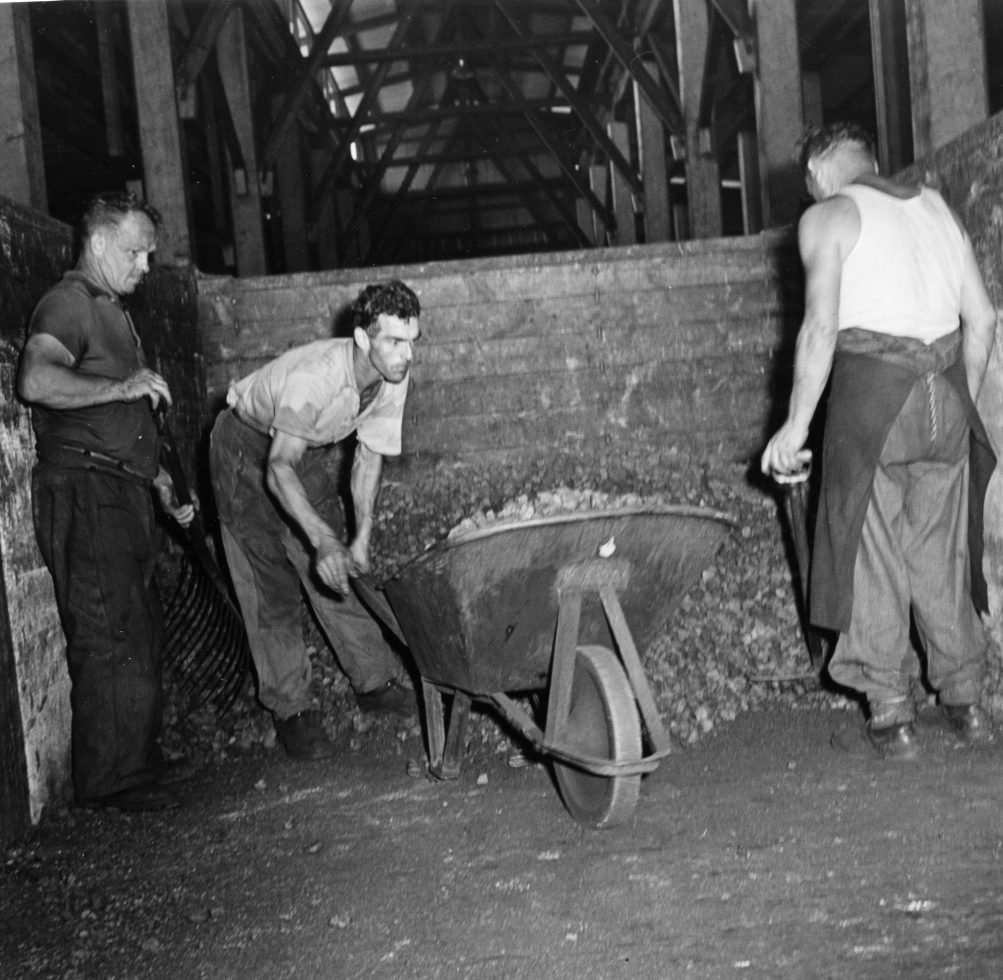 Kohle/Holz: Männer in einem Lagerraum
