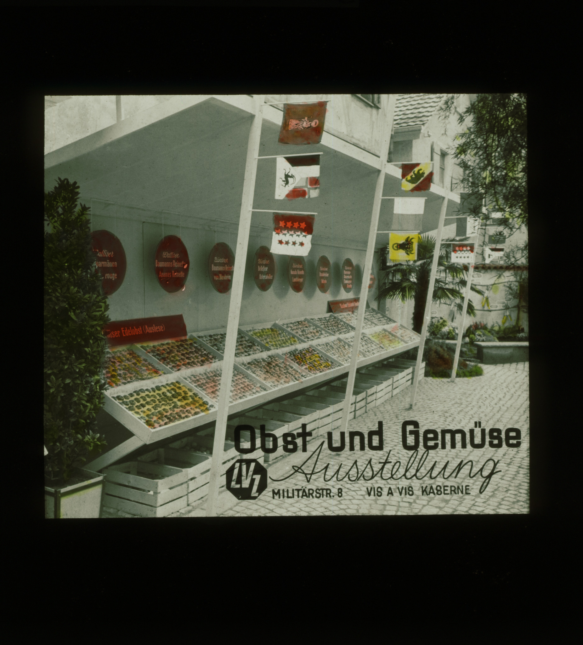 Dia: LVZ Obst und Gemüse Ausstellung Militärstrasse 8 vis-à-vis Kaserne.