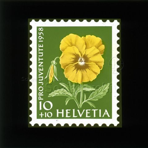 Diaserie Briefmarken; "Helvetia 10 +10, Pro Juventute 1958"; Blume "Gelbes Stiefmütterchen"; 1958
