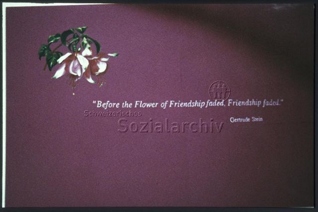 Before the flower of friendship faded, friendship faded. Gertrude Stein