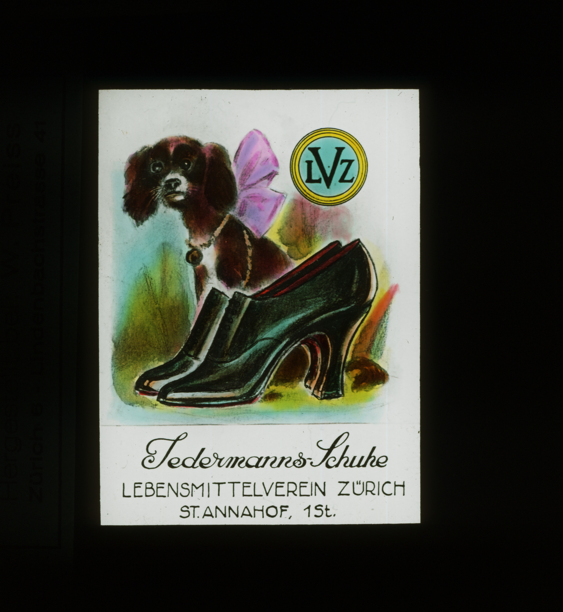 Dia: Werbung für Schuhe im St. Annahof, Schuhe und dahinter ein kleiner Hund: "LVZ Jedermanns-Schuhe Lebensmittelverein Zürich St. Annahof, 1. Stock".