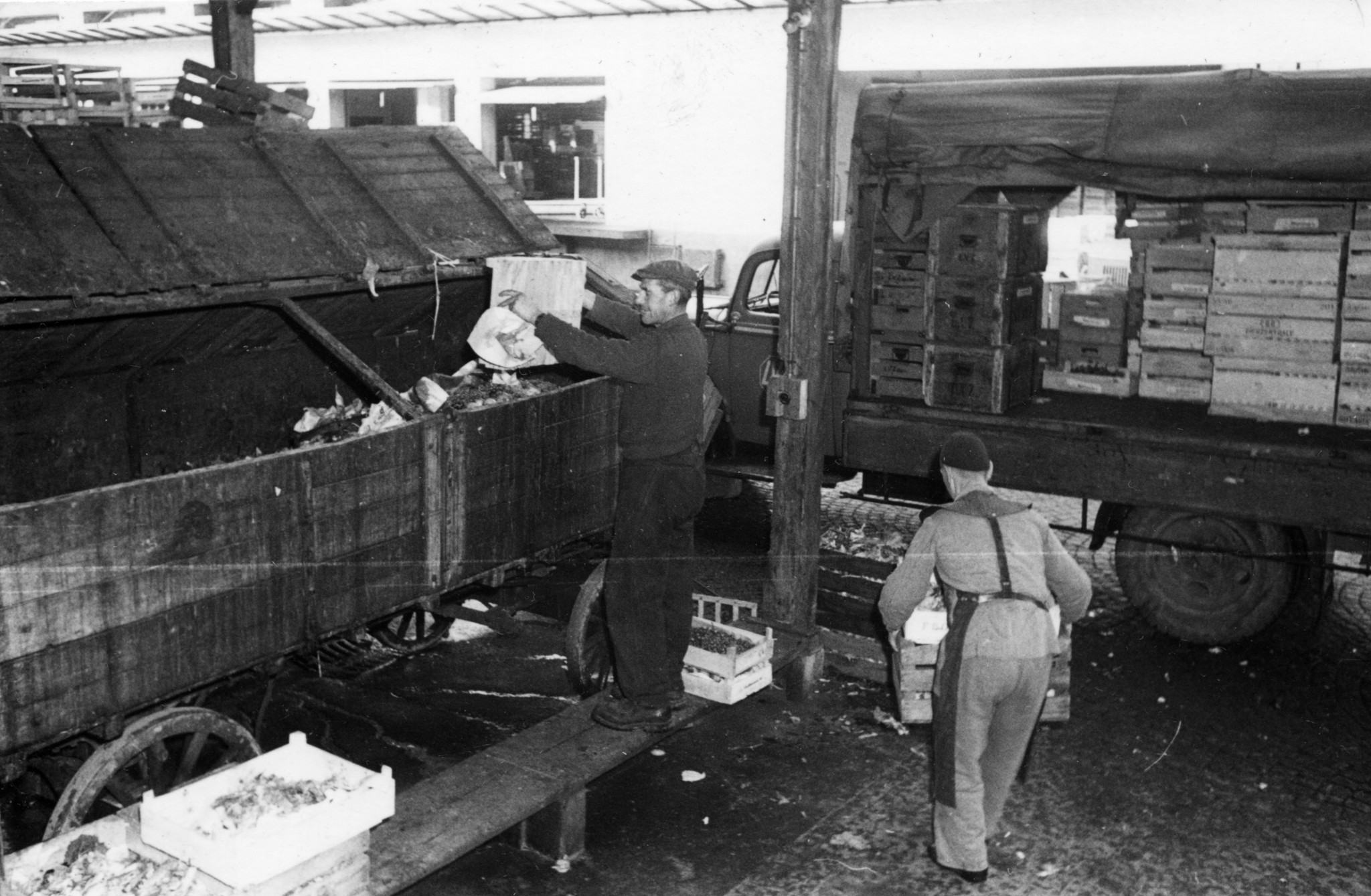 Verladen von Kisten mit Früchten auf einen Lastwagen