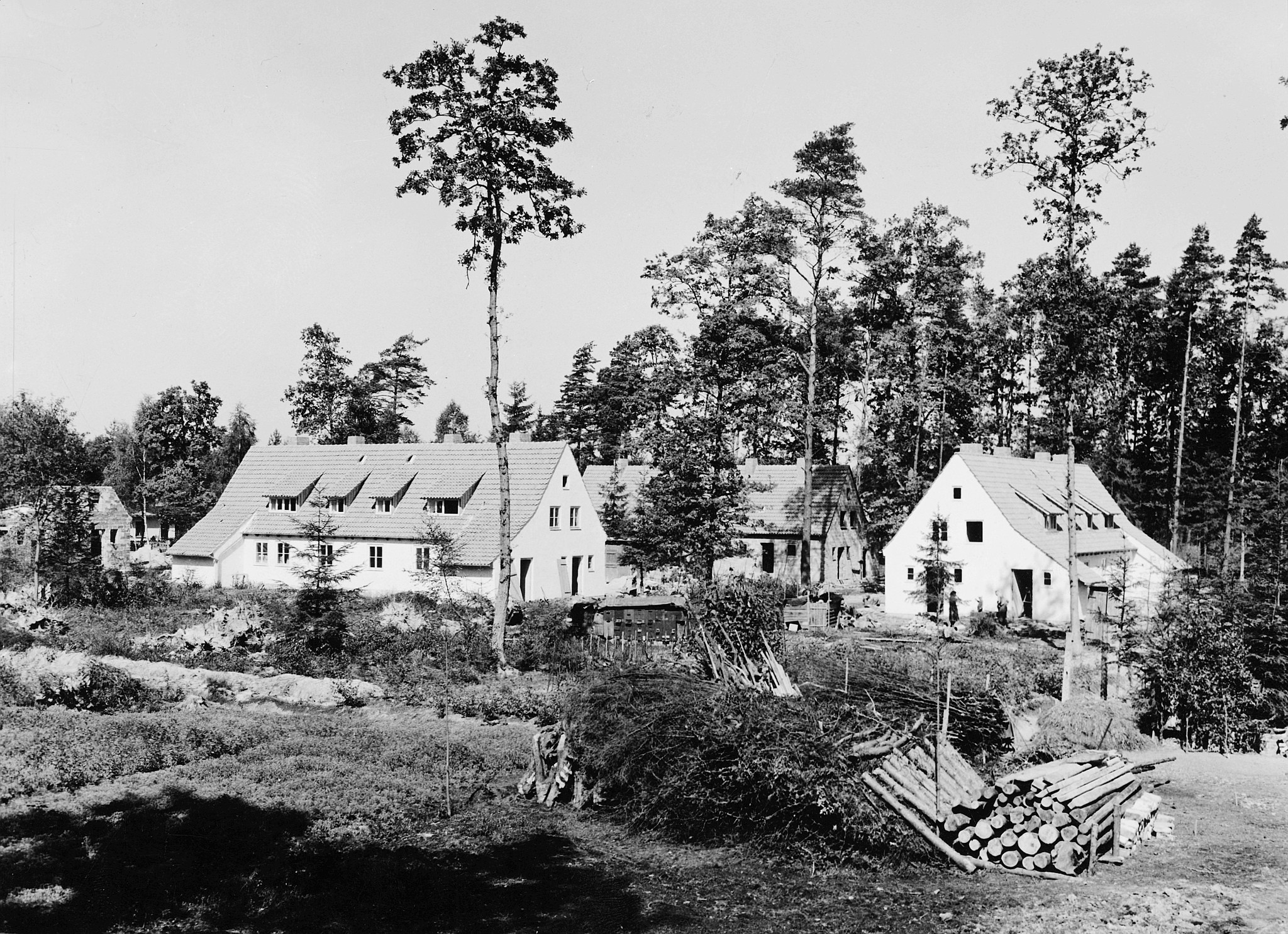 Norwegische Europahilfe: Siedlung in Waldesnähe