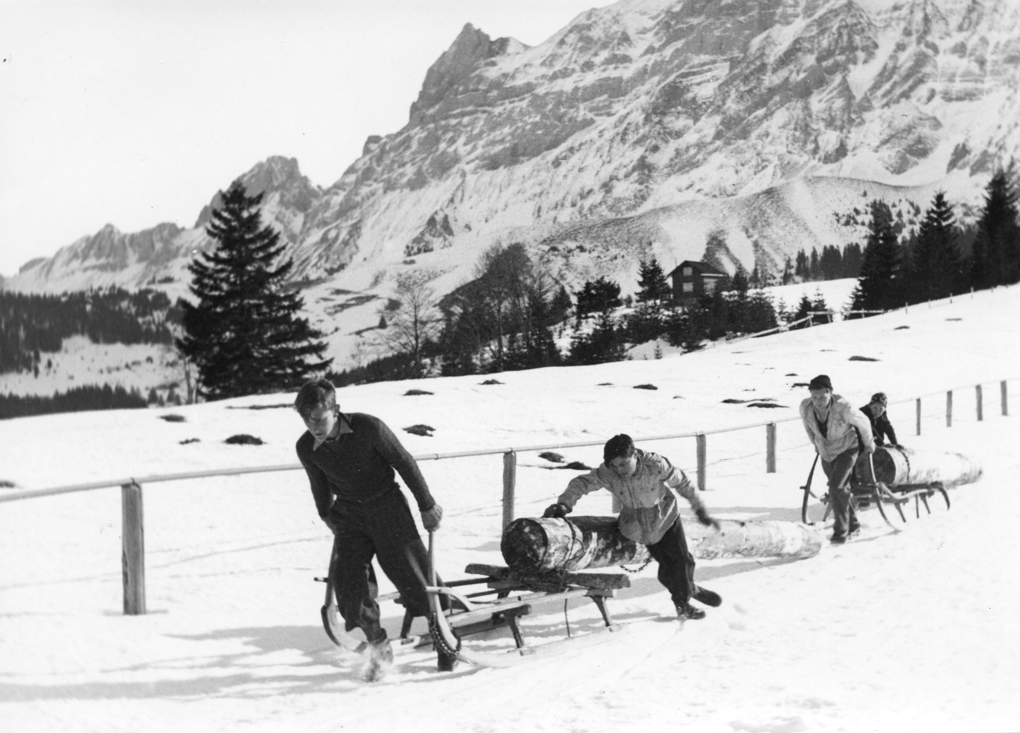 "Winterlager auf Schwägalp 1943/44,44/45 Rote Falken - SAH", Jugendliche ziehen Holzstämme auf Schlitten über eine verschneite Ebene