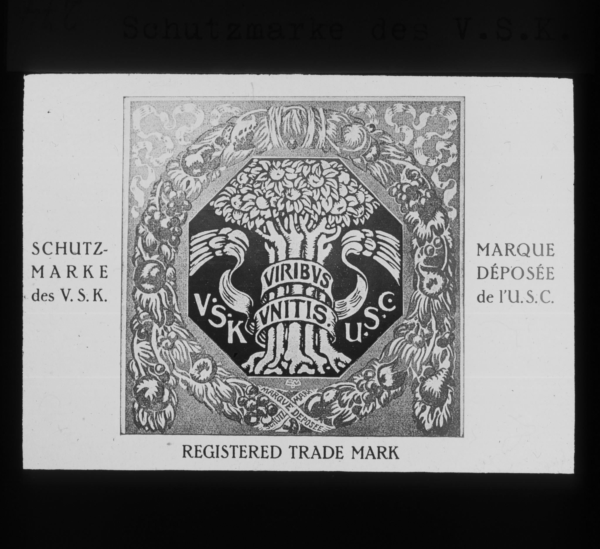 Dia: Schutzmarke des V.S.K. (Verein schweizerischer Konsumvereine). Baum, darum geschrieben: "V.S.K. Viribus Unitis U.S.C.".