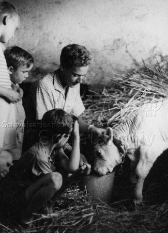 PraktikantInnenhilfe - Praktikant und Jungen beim Füttern eines Kalbes; um 1965