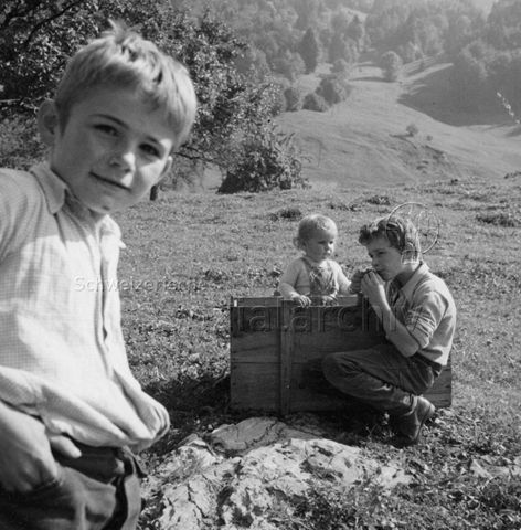 Praktikantinnenhilfe - Zwei Jungen und ein Kleinkind in einer Holzkiste; um 1965