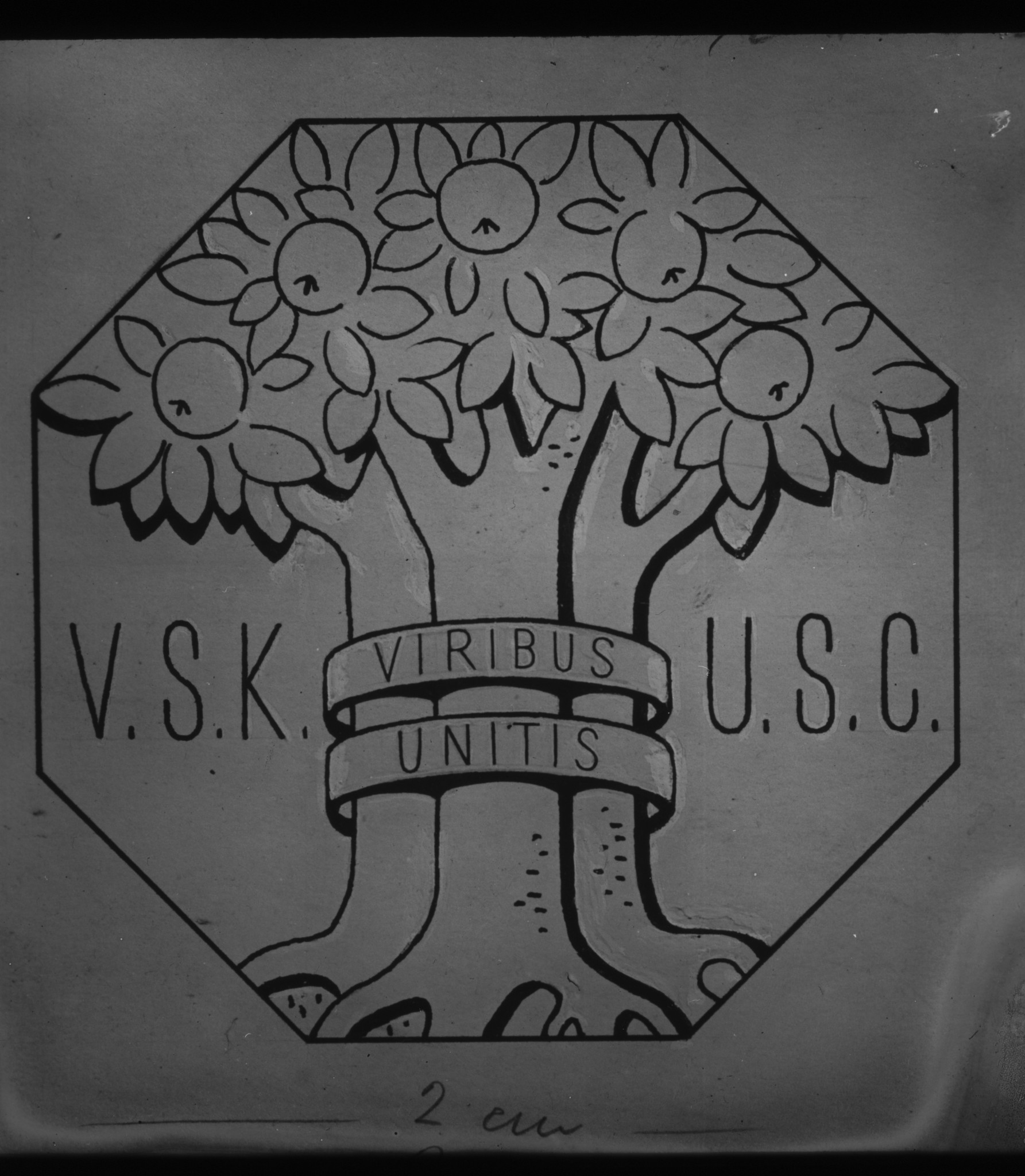 Dia: Signet des V.S.K. (Verein schweizerischer Konsumvereine). Baum, darum geschrieben: "V.S.K. Viribus Unitis U.S.C.".