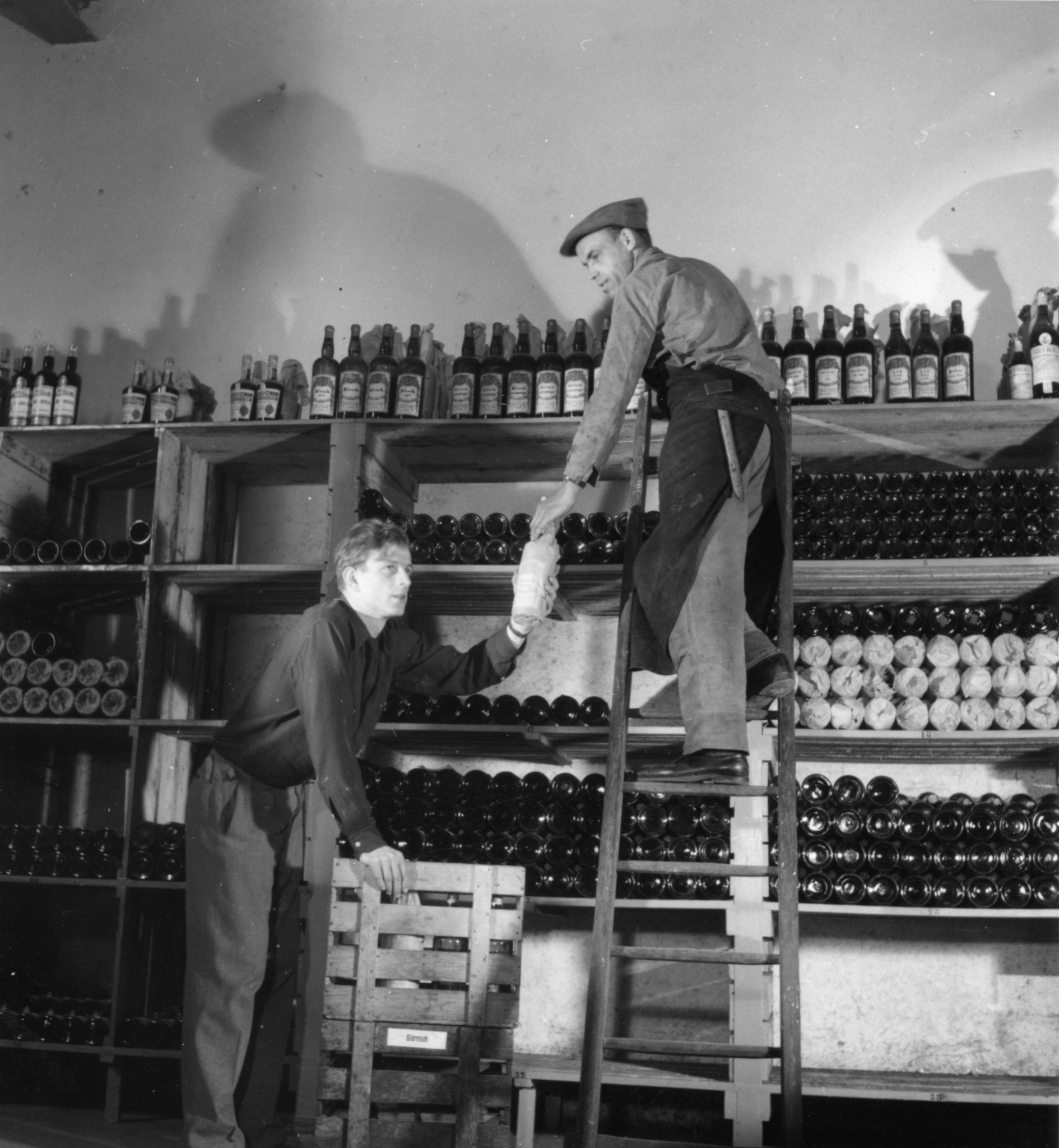 VSK 7291 - Zwei Männer in einem Weinlager beim Auffüllen eines Regals