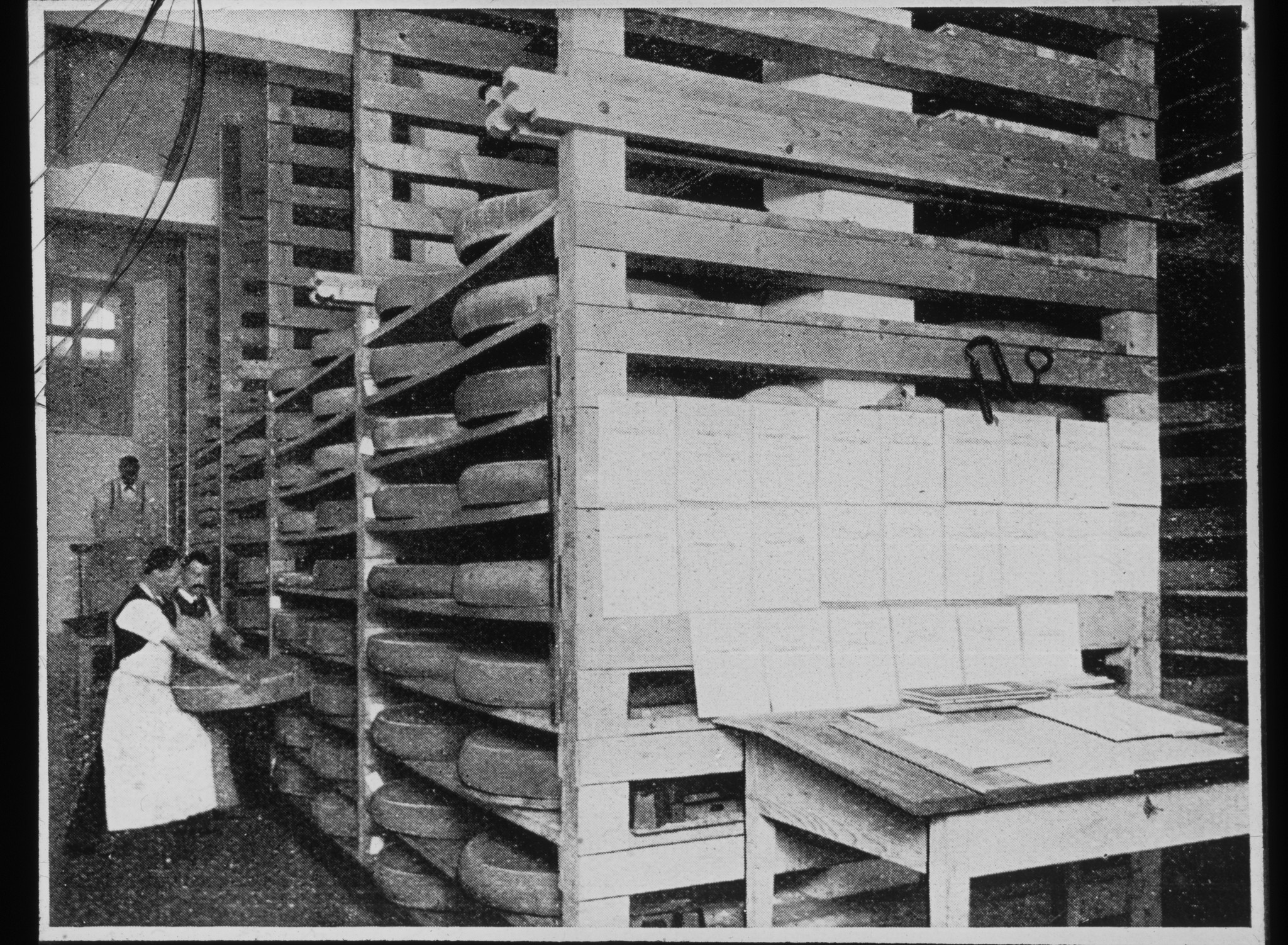 Dia: Käsekellerei des V.S.K. (Verband schweizerischer Konsumvereine) in Pratteln: Zwei Käser wuchten einen grossen Laib in ein Regal.