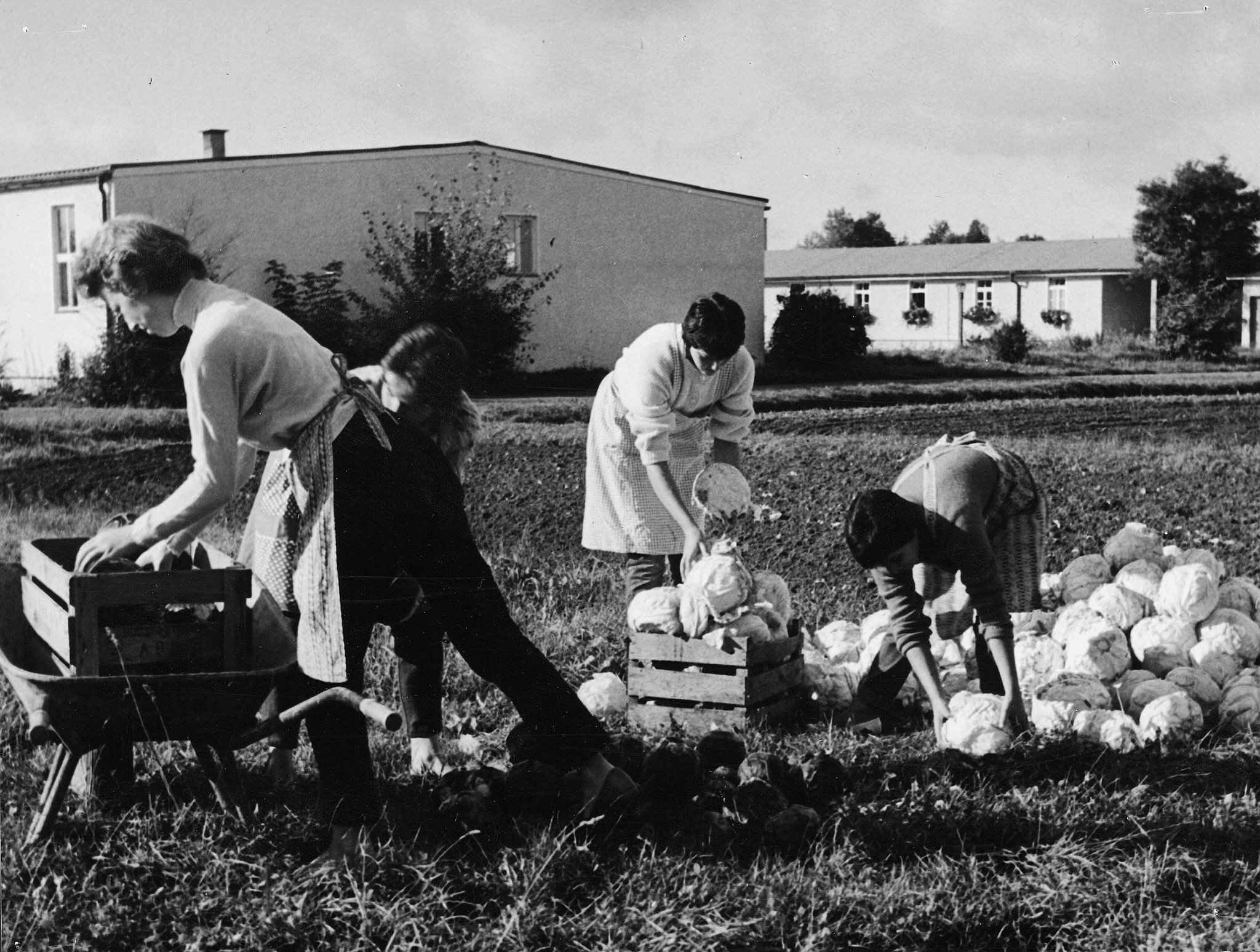 Arbeiterwohlfahrt: Arbeit auf dem Feld in einem Flüchtlingslager