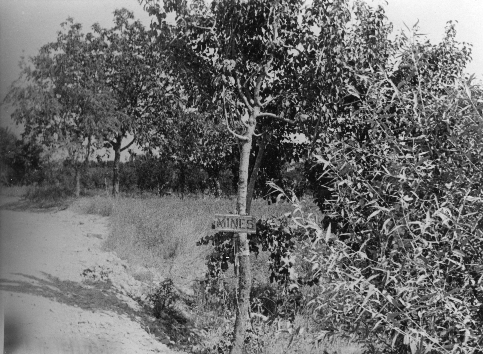 "Überall Minen!"; ein Feld, in dem Minen liegen