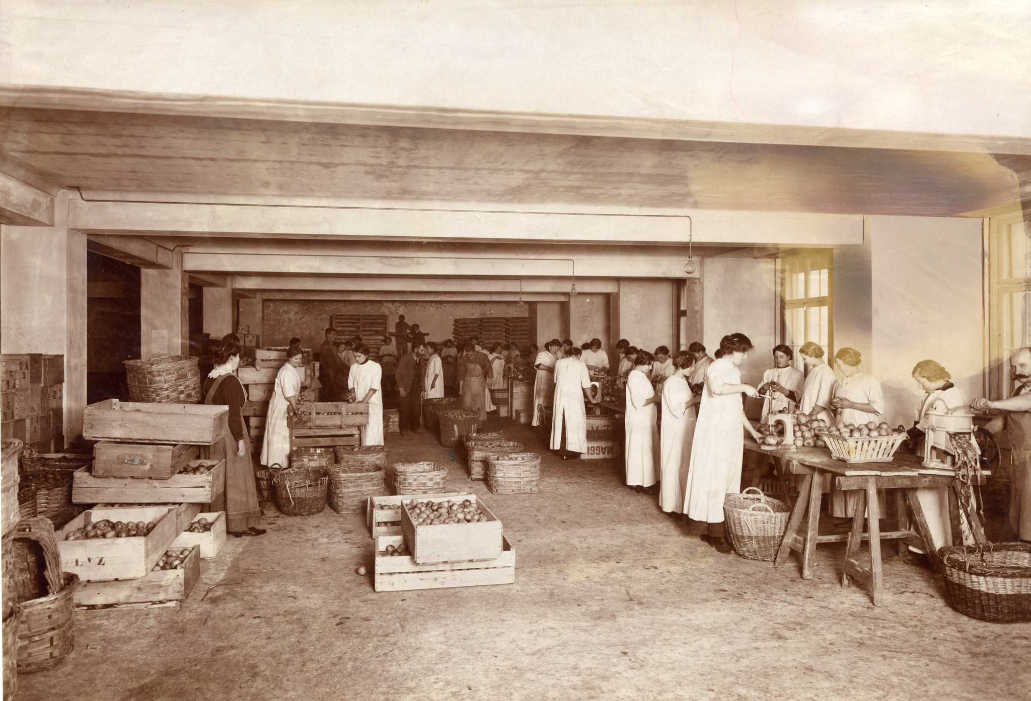 Frauen beim Verarbeiten von Obst in einer Lagerhalle