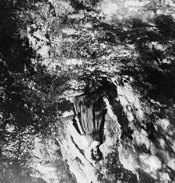 Wandervogel auf einem Pfad laufend (1920)