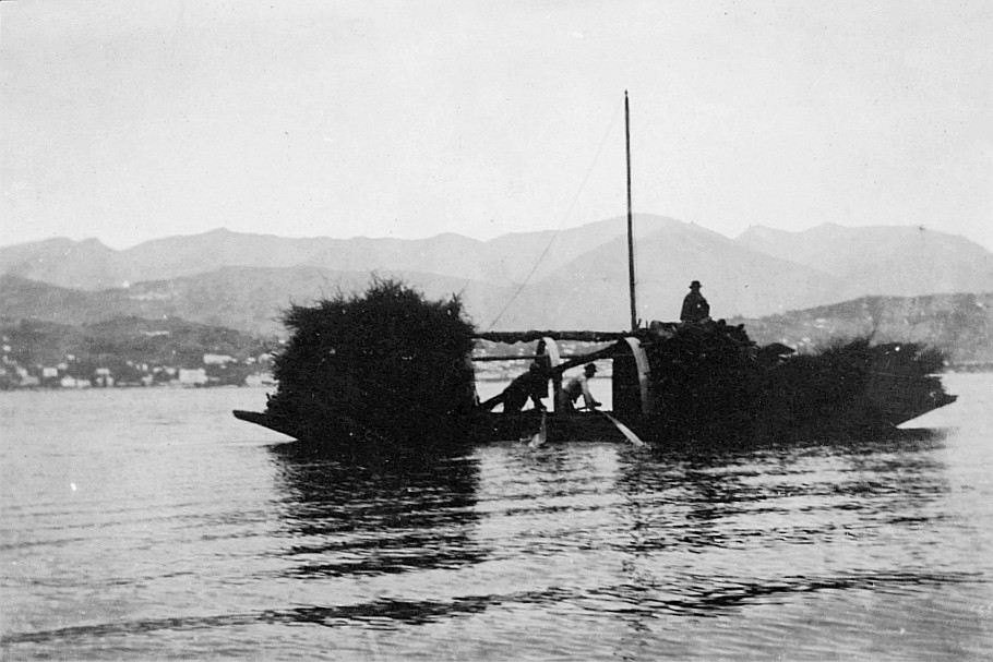Am Luganersee (20. September 1919) - Ein Boot mit Ästen (vermutlich) beladen und zwei rudernde Männer